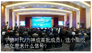 寧德時代/力神成首批成員！電動航空標(biāo)委會成立帶來什么信號？