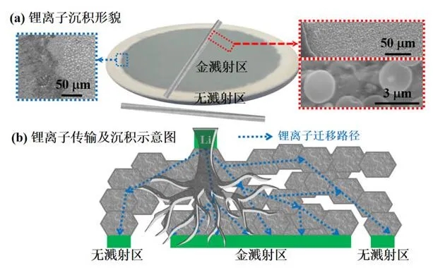 中科院關(guān)于非對稱結(jié)構(gòu)固態(tài)電池研究取得新進展